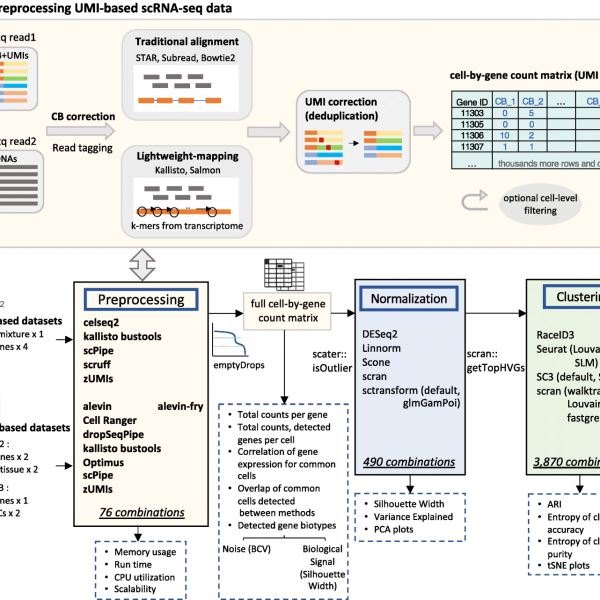 Overview of scRNA-seq preprocessing workflows and study design